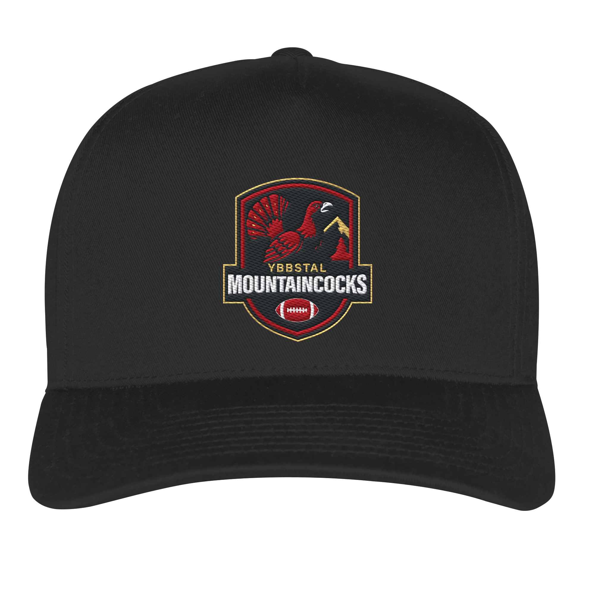 Classic Curved Snapback